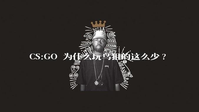 CS:GO 为什么玩鸟狙的这么少?