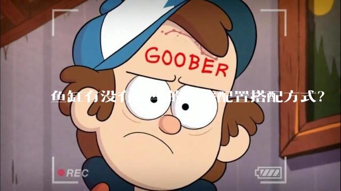 鱼缸有没有简单的过滤配置搭配方式？